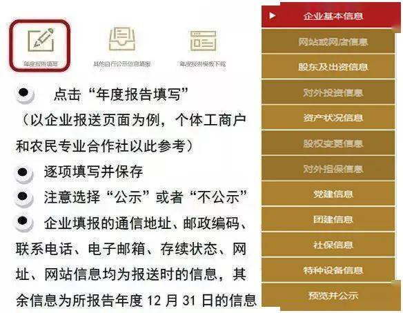 详析贷款调查报告：关键内容与要素解析