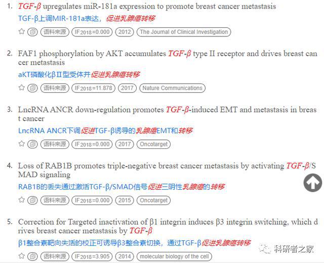 人工智能写作助手：盘点全网顶级AI作文网站推荐指南