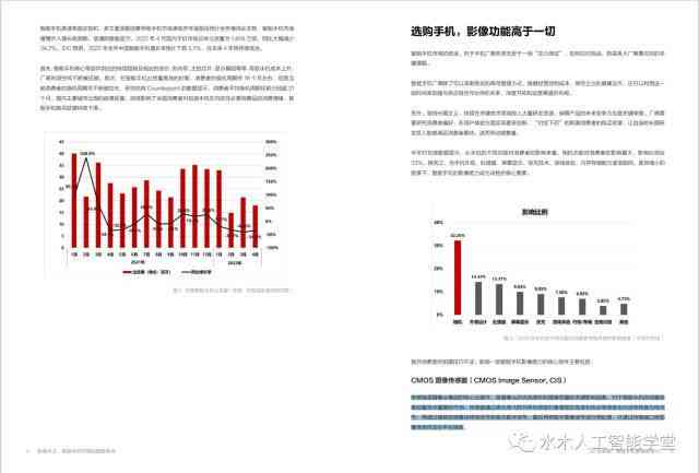 ai行业市场调研报告总结：范文撰写与反思分析