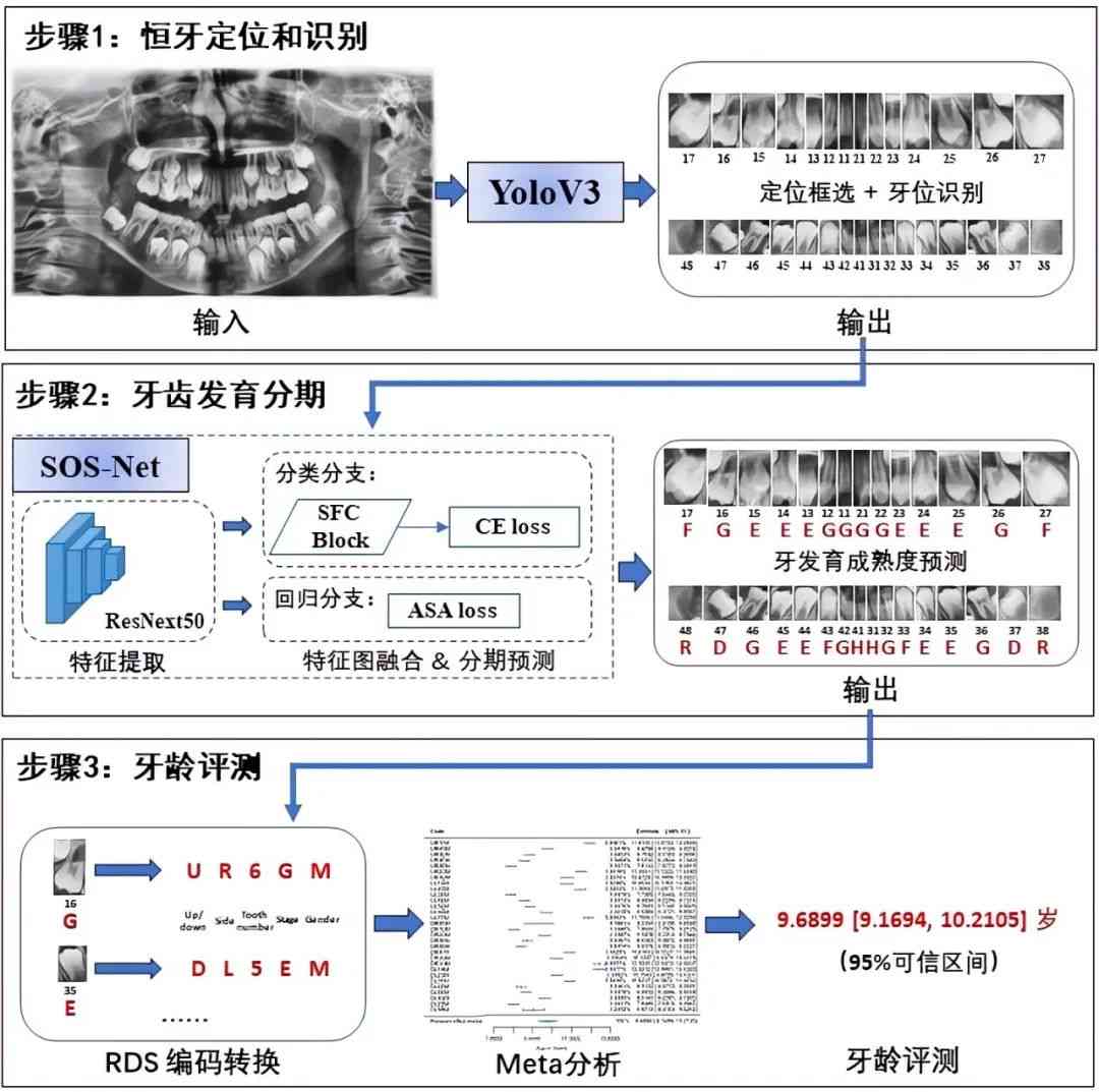 AI人工智能口腔评估报告怎么写？全面解析与步骤指导