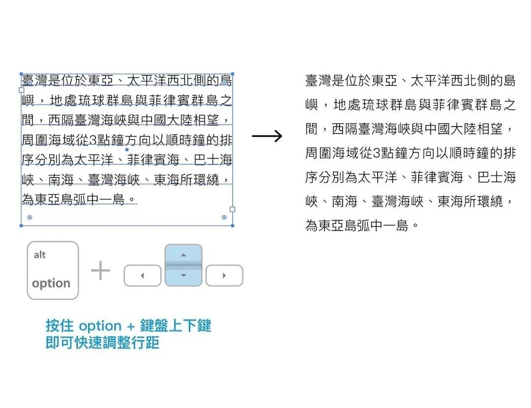 ai创意海边实训报告怎么写：从构思到成文的全过程解析与实用技巧