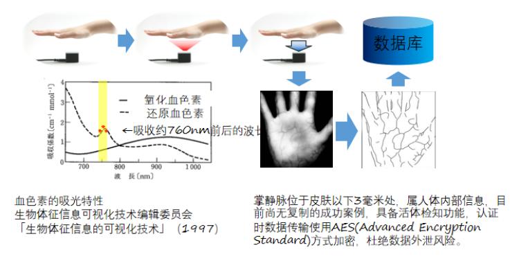 AI实验内容与步骤详解：包括哪些及如何撰写