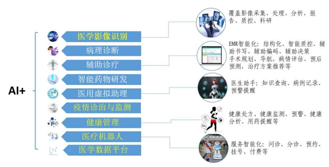 ai实验报告实验讨论