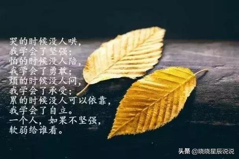 情绪价值的朋友圈：怎么发表关于情绪价值的文案与说说