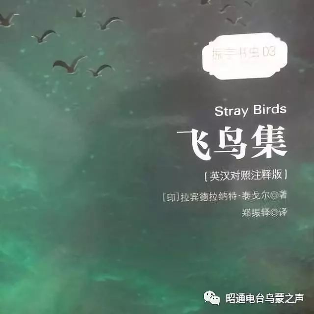 模仿飞鸟集，吟咏心灵诗篇