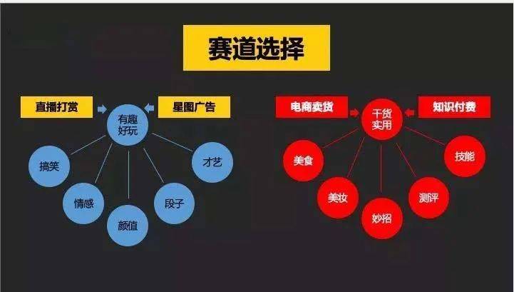 抖音AI智能文案生成神器：一键打造爆款内容