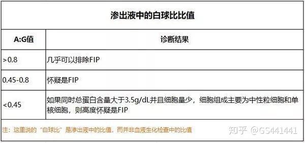 如何创建全面的AI诊断报告表格：步骤详解与技巧分享