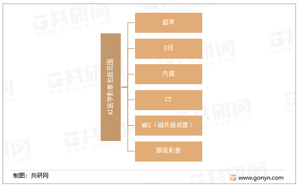 ai影像公司结构分析报告