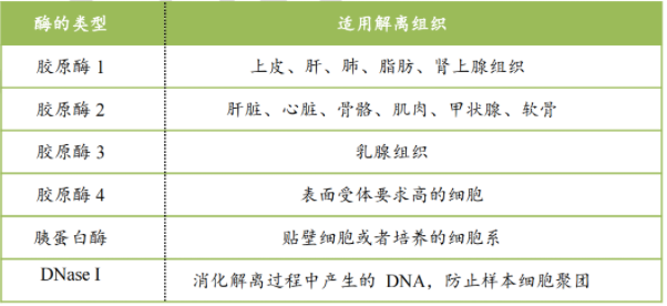 照片生产的全过程：详述其步骤与写作方法