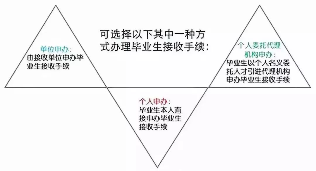 鼠标市场分析：竞争情况与分析方法综述