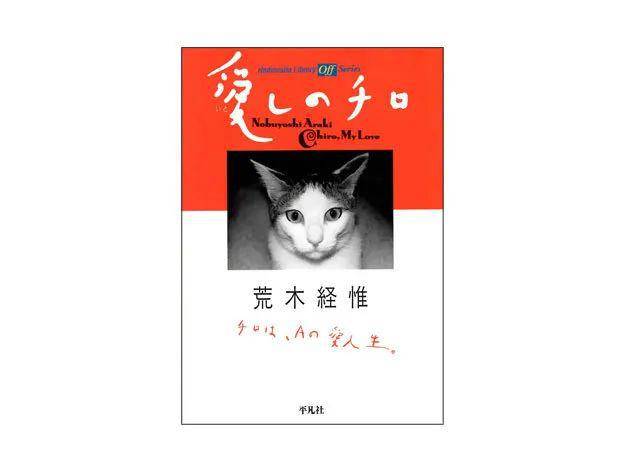 创意文案猫：文字魔法师的灵感宝库