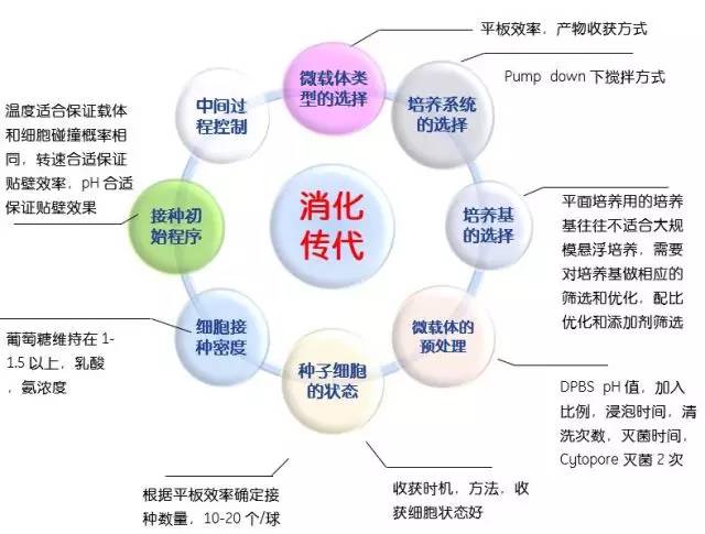 深入解析：数字化口腔检查技术的革命性突破与优势