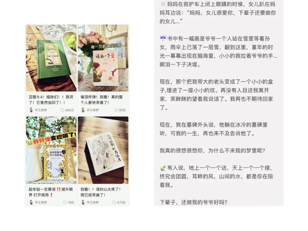 揭秘：高效使用AI写作工具撰写小红书文案的秘籍