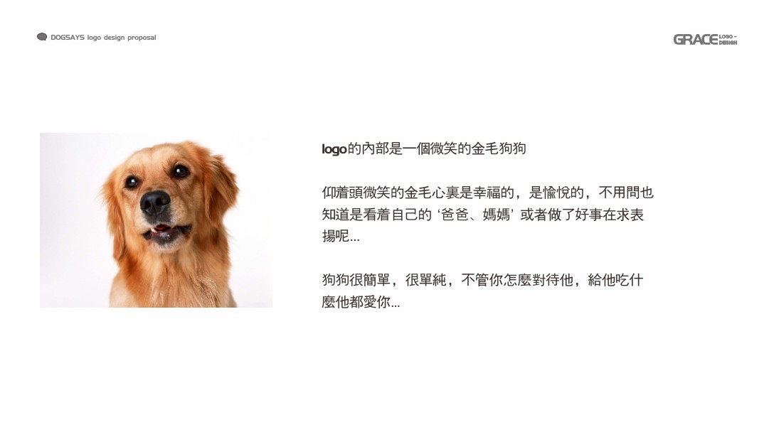 宠物logo设计：理念与UI方案融合