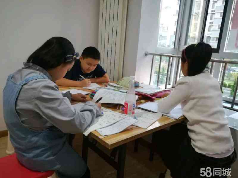 专业小学生作业辅导与托管一站式服务班