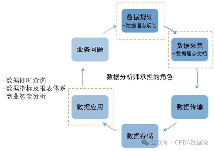 全面解析语文AI课程市场：竞品分析、发展趋势及选择指南