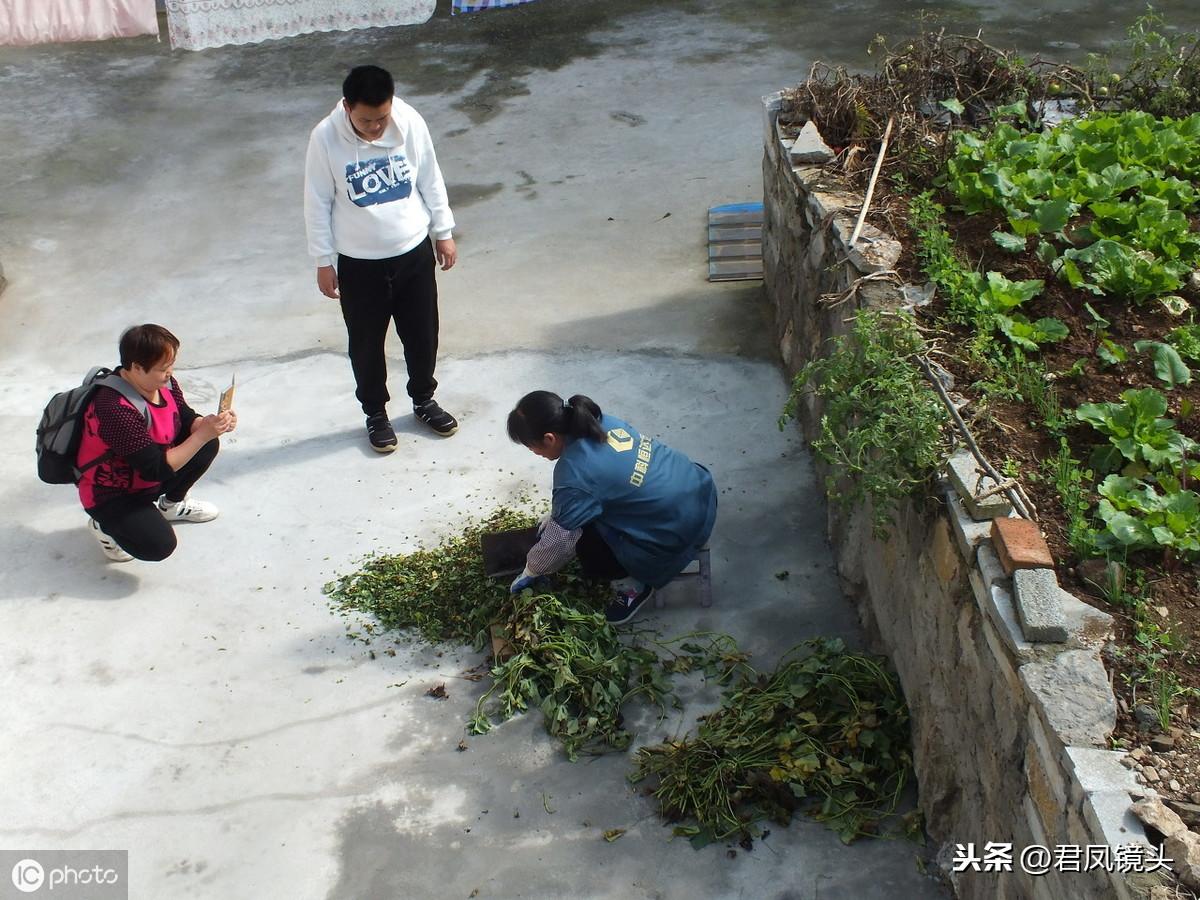 写设计报告照片：拍摄技巧与制作指南