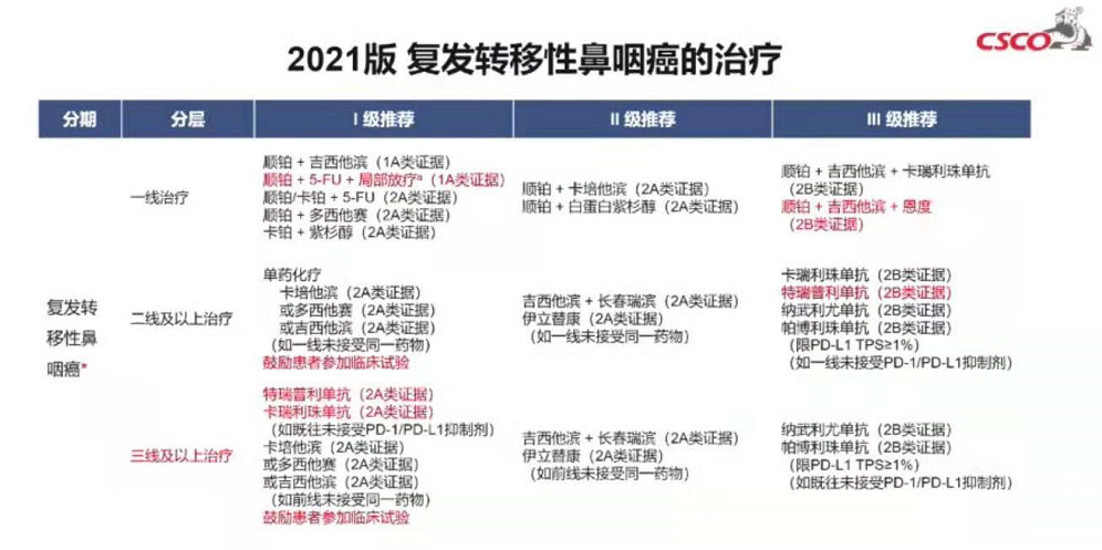 AI脚本怎么用：从编写到放置，全面指南，包括AI2021脚本及插件使用