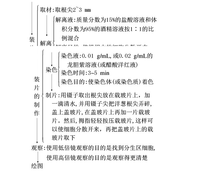 AI的实验结论：实验目的、内容、步骤、结果及总结