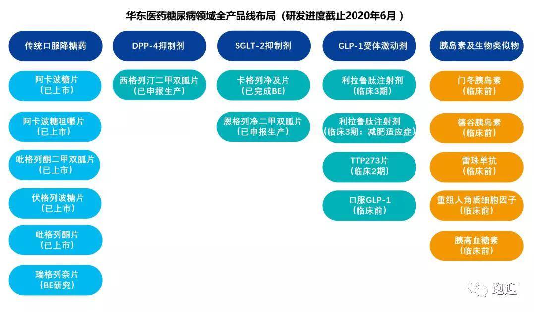 全面攻略：挑战未来与应用全解析，解决所有相关问题