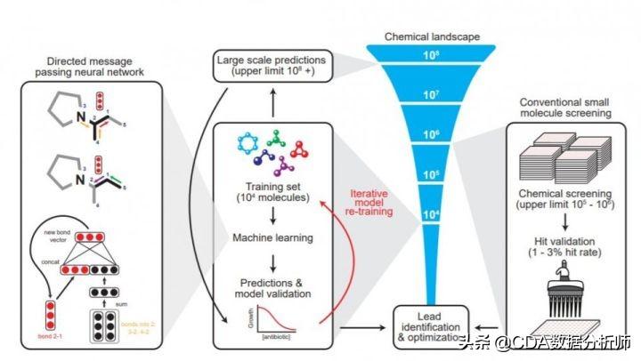 AI设计化学实验报告：撰写指南、模板与总结