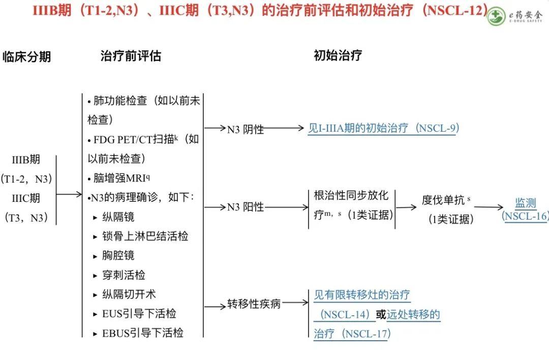 ai人工肺癌评估报告怎么看