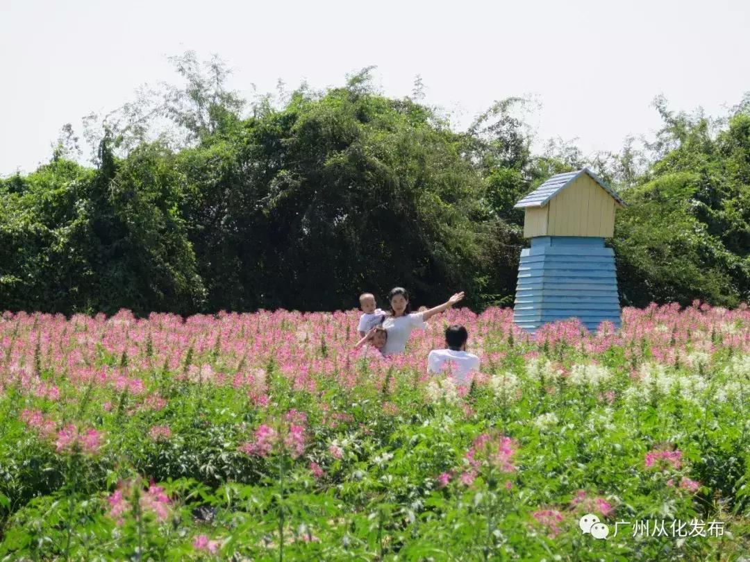 适趣AI阅读推广文案怎么写？吸引人的策略全解析