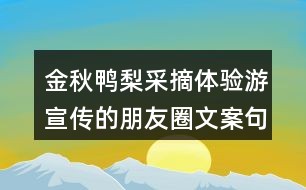 创意文案分享：范文短句及朋友间的句子精选