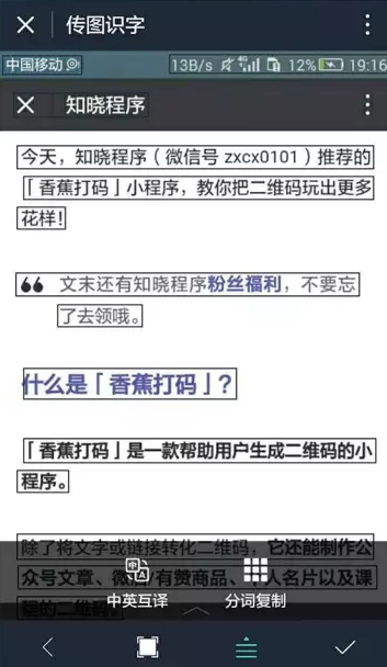 抖音自动识别文字功能解析：如何使用及常见问题解答