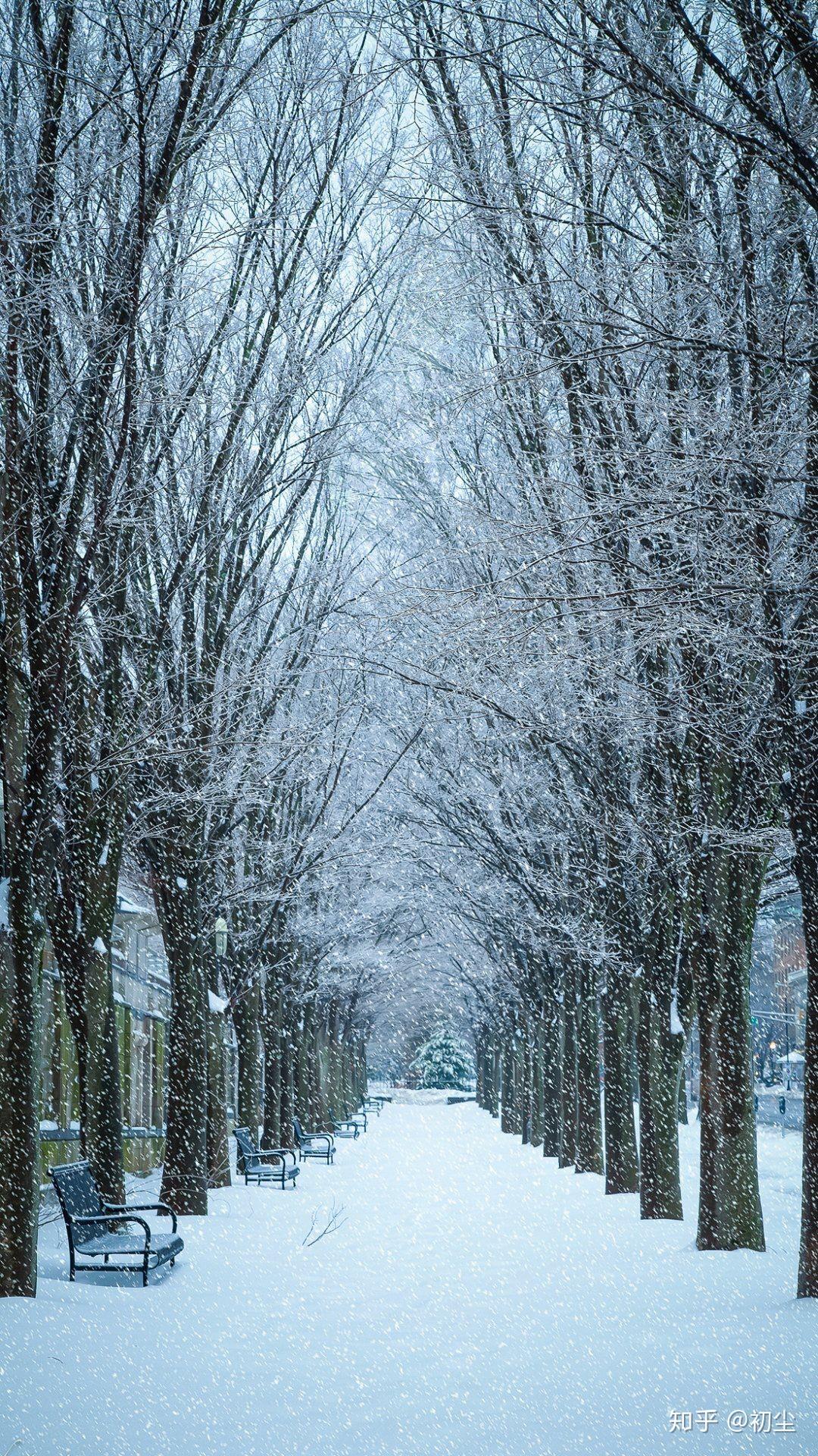 冬日浪漫：初雪文案精选短句集锦