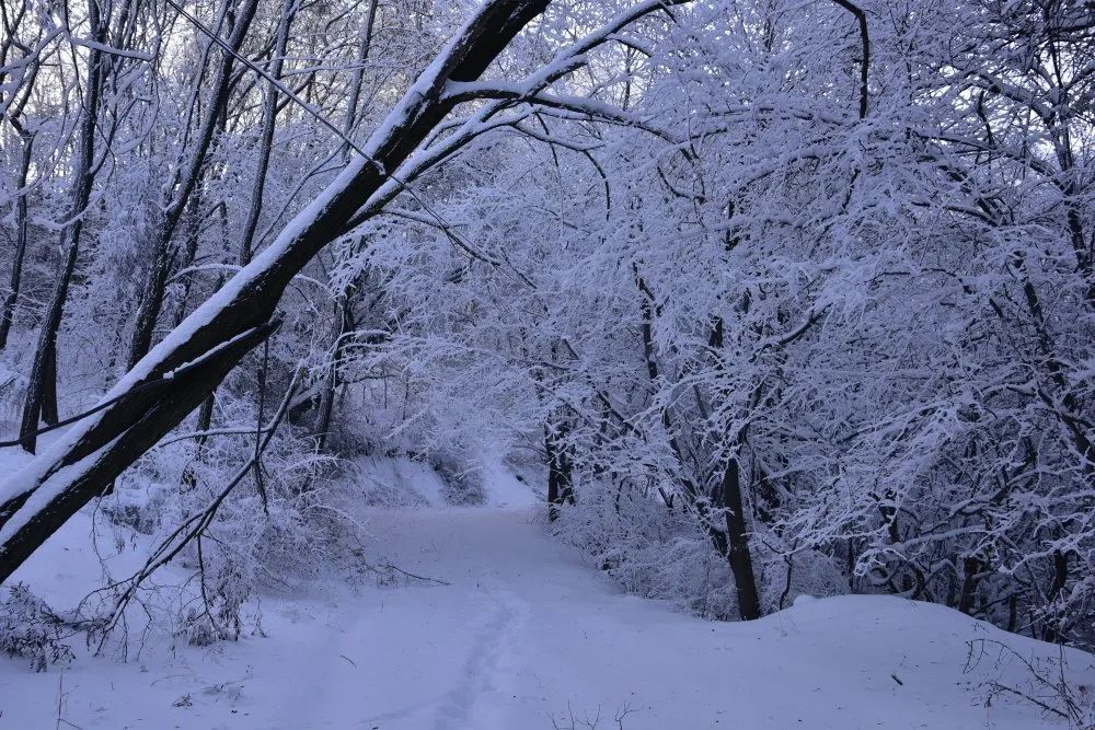 冬日浪漫：初雪文案精选短句集锦