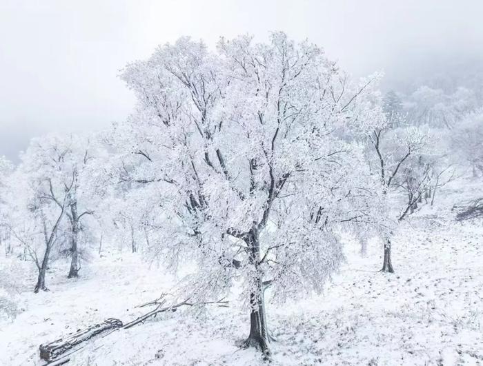 冬日浪漫：初雪文案精选短句集锦