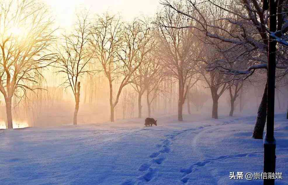 冬日浪漫：如何用诗意文案捕捉初雪瞬间，向心爱的人表达情感