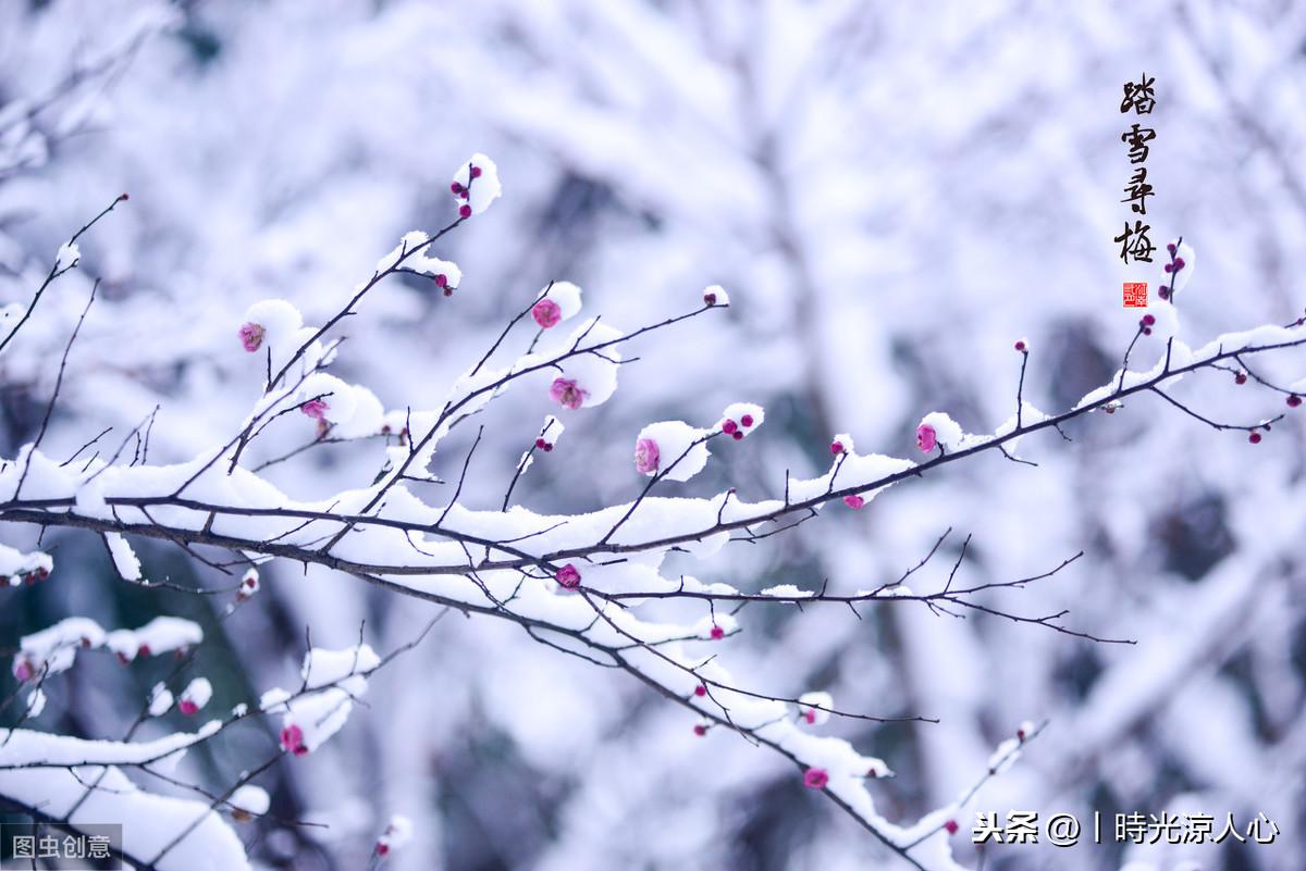 ai绘画初雪文案