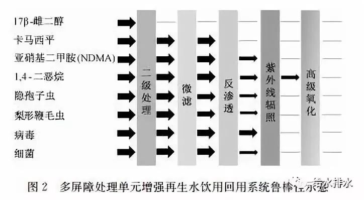 解读生物测量仪数据：准确理解健康指标