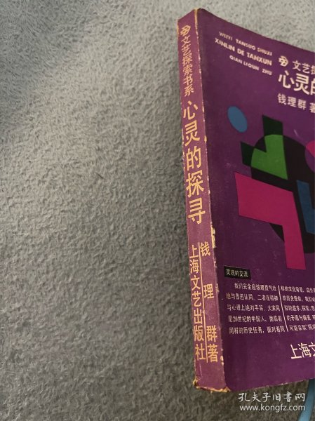 心灵探索：原创心理剧情深剖析