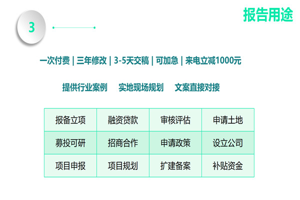 AI产品财务风险分析报告模板撰写指南