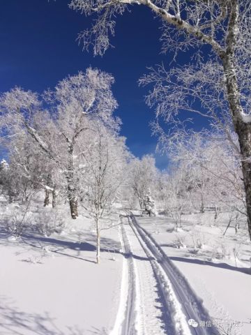 探索无界AI绘制诗意雪景新技法