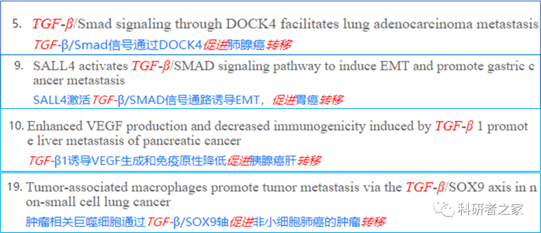 如何在微信中设置AI写作助手功能