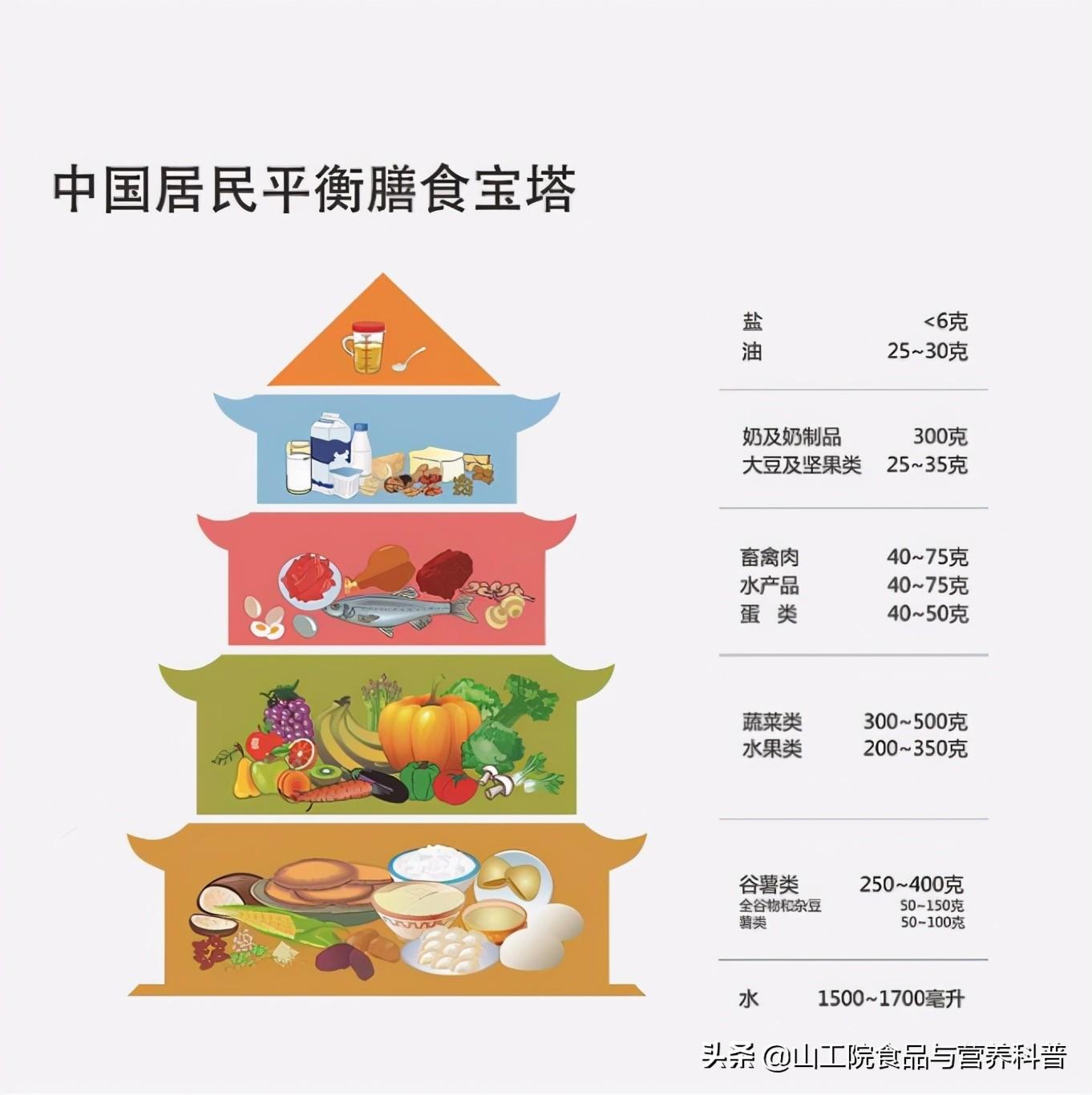 营养报告撰写指南：全面解析如何准确记录与分析饮食营养数据