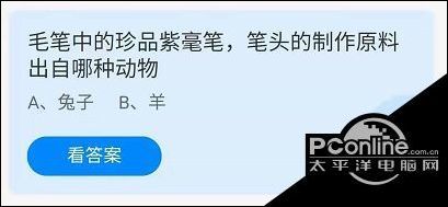 深度解析神来之笔的含义及其在不同语境中的应用