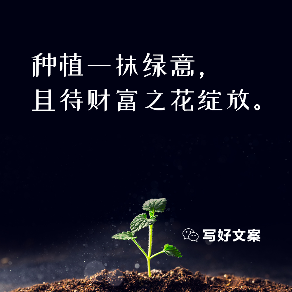 环保主题的创意绿色文案句子     