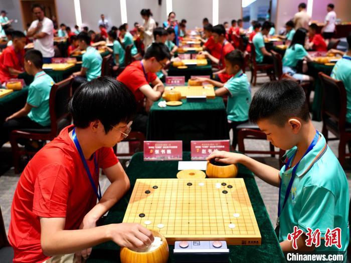 全面提升棋艺：浙江围棋AI考级攻略与题库详解