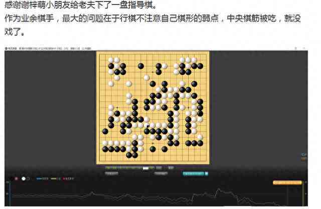 浙江围棋ai考级文案