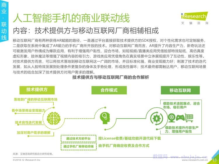 AI市场调研报告制作与多元化变现策略解析