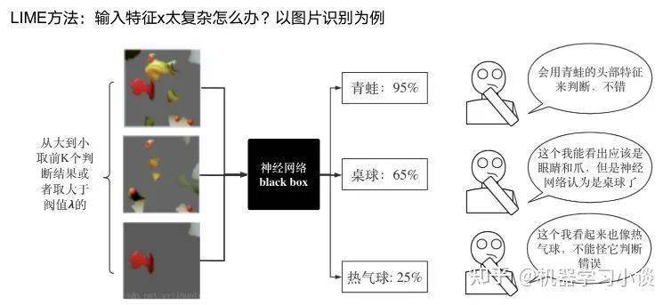 深度学习实验综述：AI神经网络算法的应用、优化与实践反思